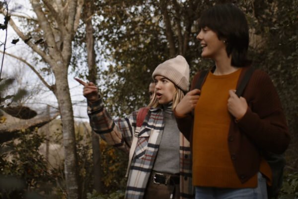 2501 - Valle del Guadalquivir 46 2501 - Valle del Guadalquivir 46